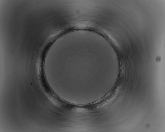 X0000102490590200809051324