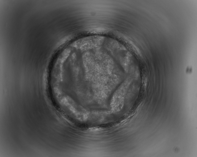 X0000102490591200809051324