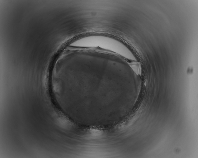 X0000102490592200809051324