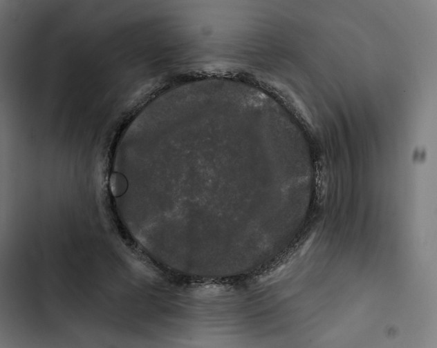 X0000102490593200809051324