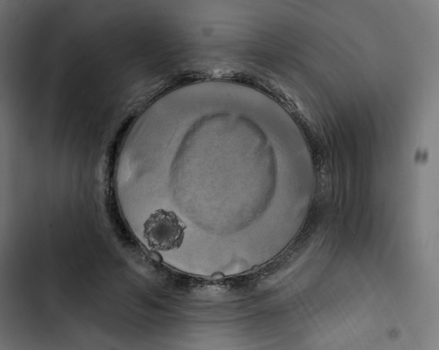 X0000102490594200809051324