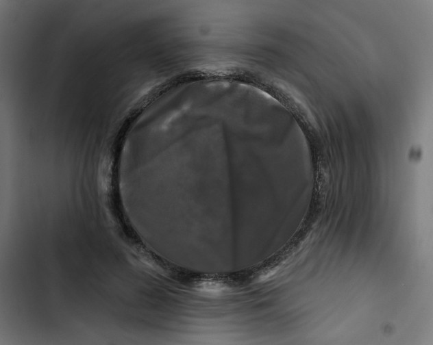 X0000102490596200809051324