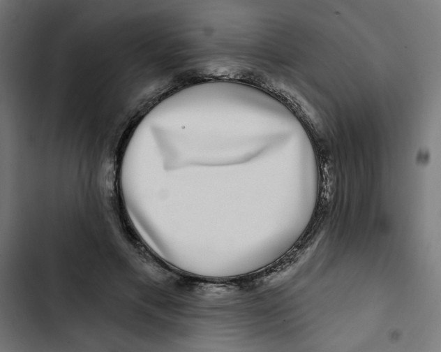 X0000102490597200809051324