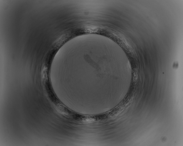 X0000102490598200809051324