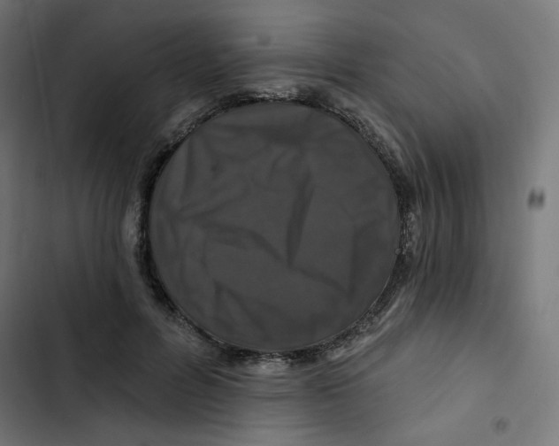 X0000102490600200809051324