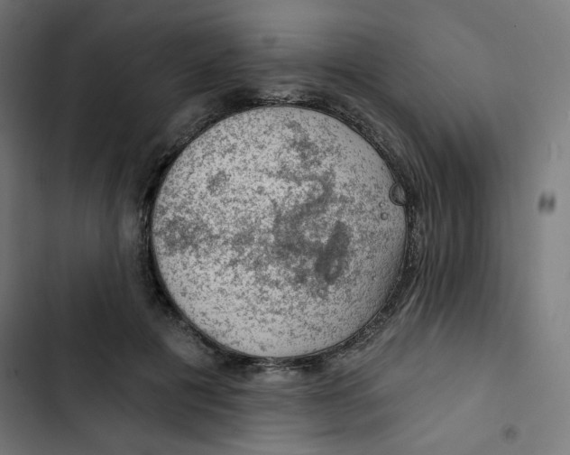 X0000102490601200809051324