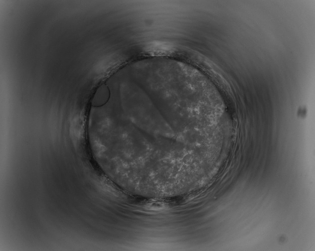 X0000102490604200809051324