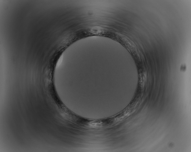 X0000102490606200809051324