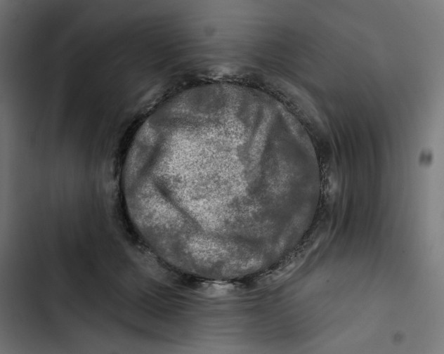 X0000102490607200809051324