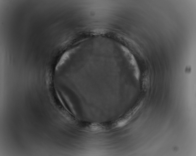 X0000102490608200809051324