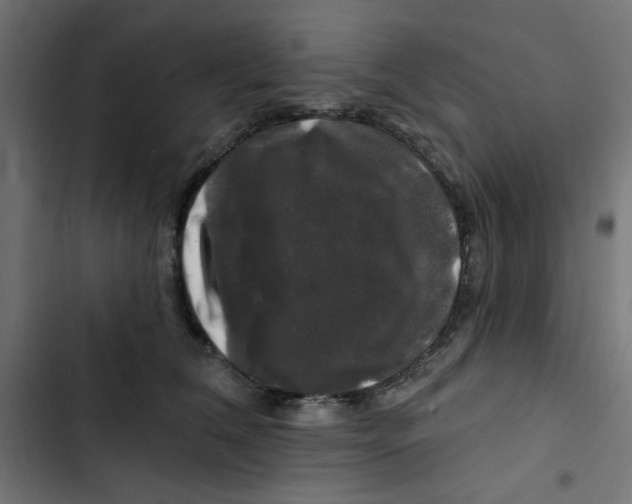 X0000102490612200809051324