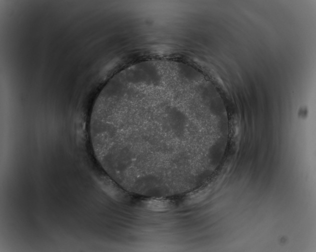 X0000102490615200809051324