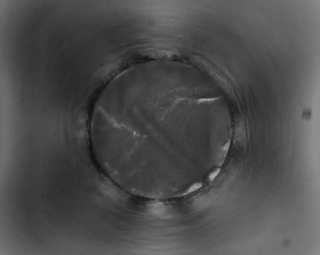 X0000102490616200809051324