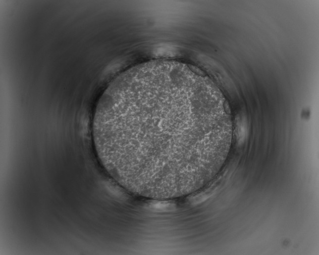 X0000102490619200809051323