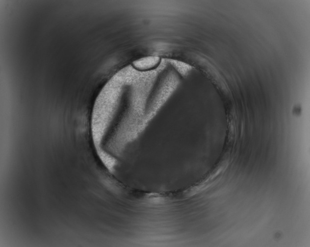 X0000102490620200809051323