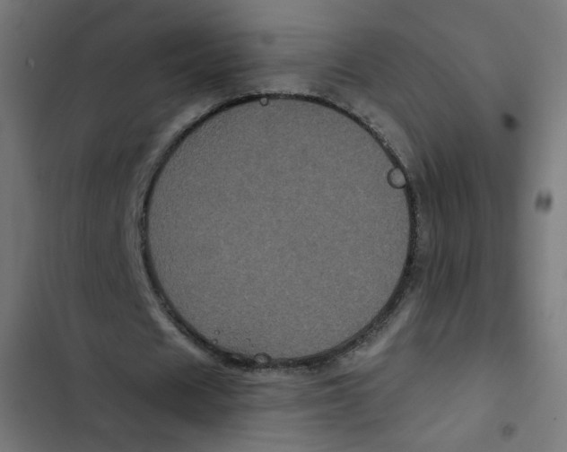 X0000102490625200809051323