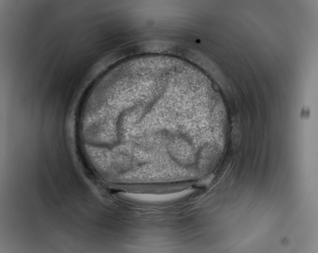 X0000102490626200809051323