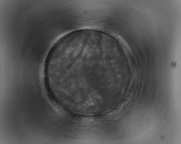 X0000102490628200809051323