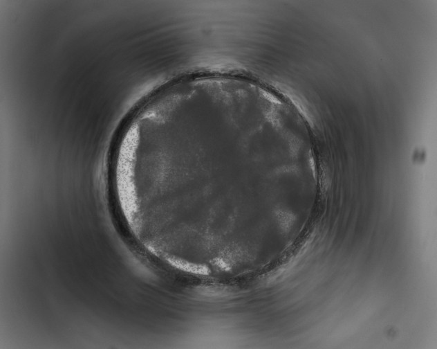 X0000102490630200809051323