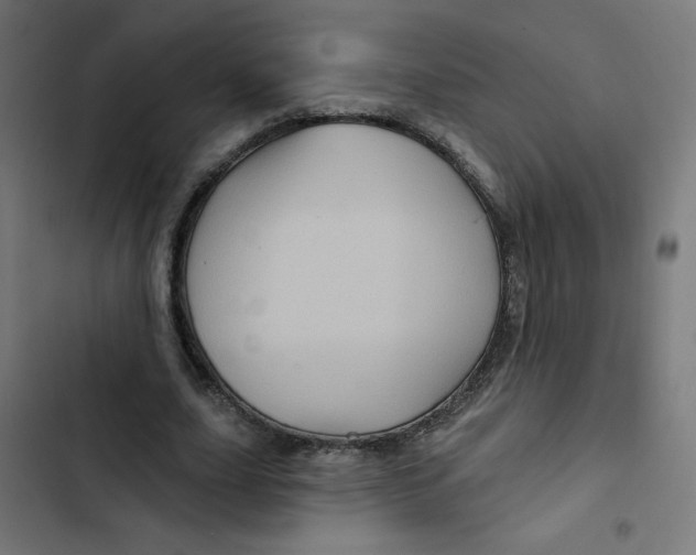 X0000102490631200809051323