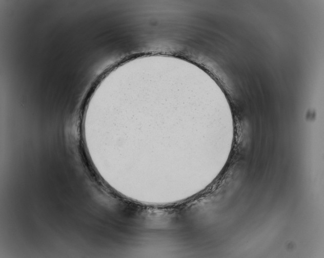 X0000102490632200809051323