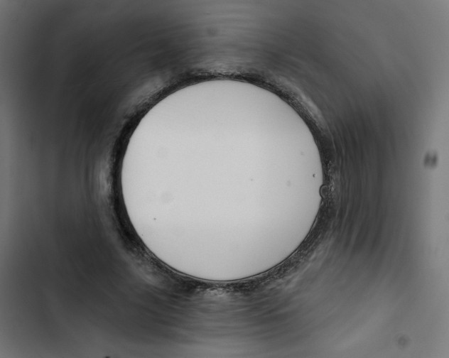 X0000102490635200809051323