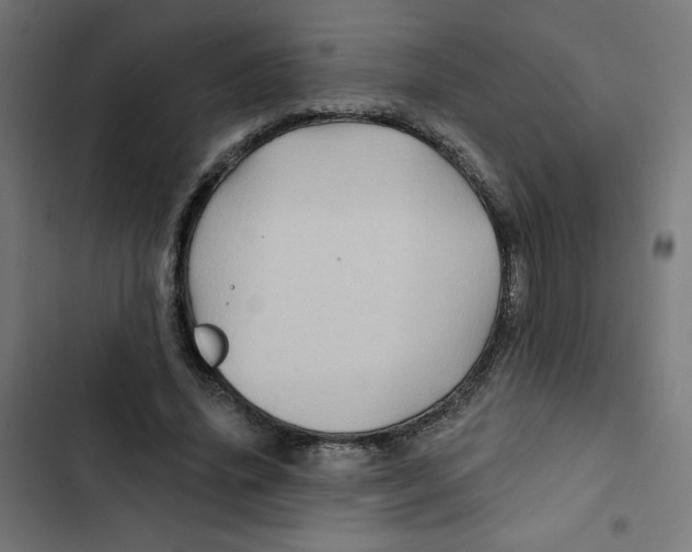 X0000102490636200809051323