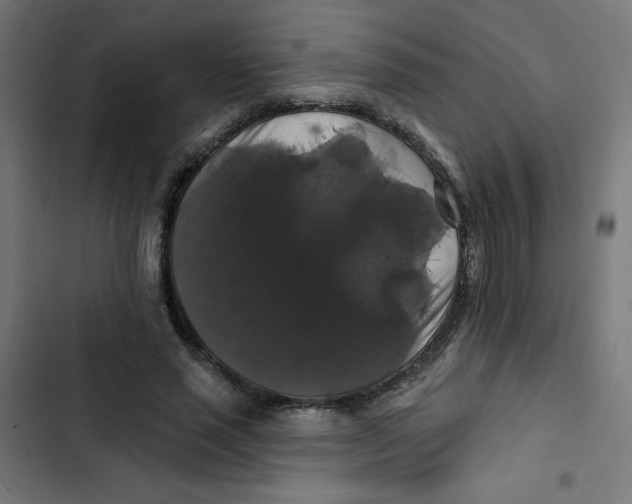 X0000102490637200809051323