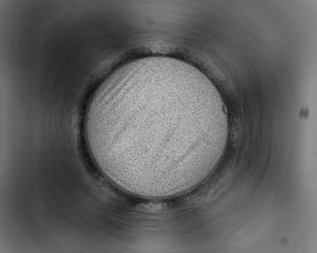 X0000102490639200809051323