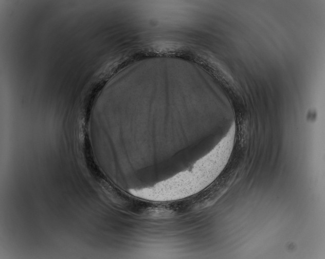 X0000102490644200809051323