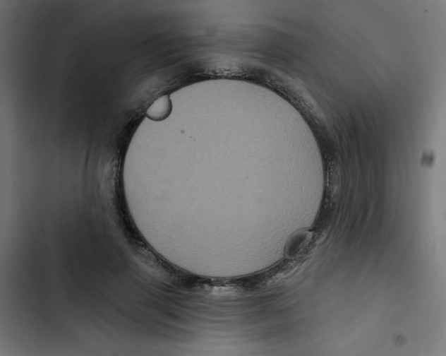 X0000102490645200809051323