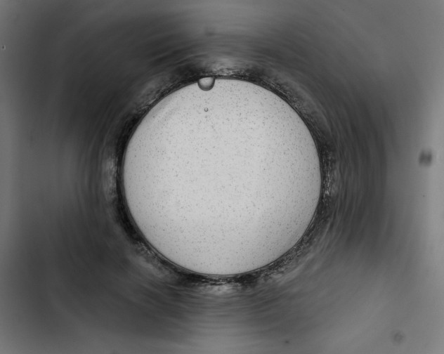 X0000102490646200809051323