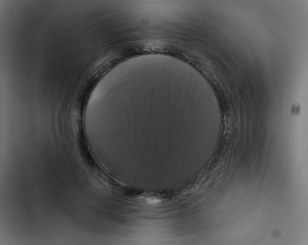 X0000102490648200809051323