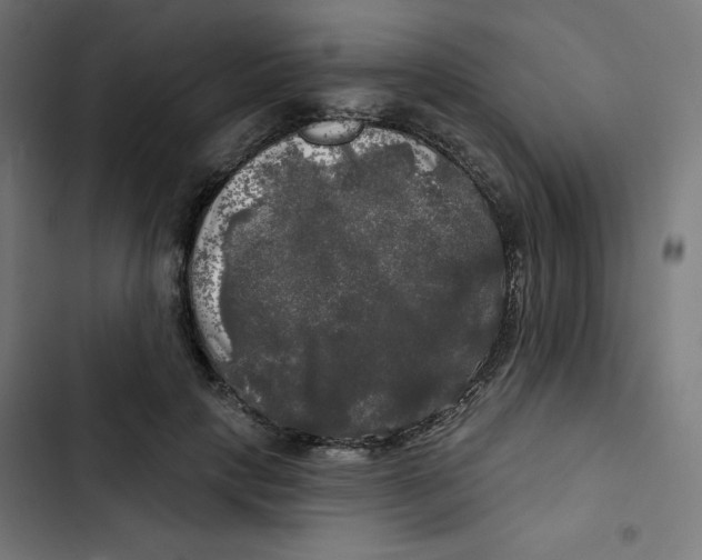 X0000102490649200809051323