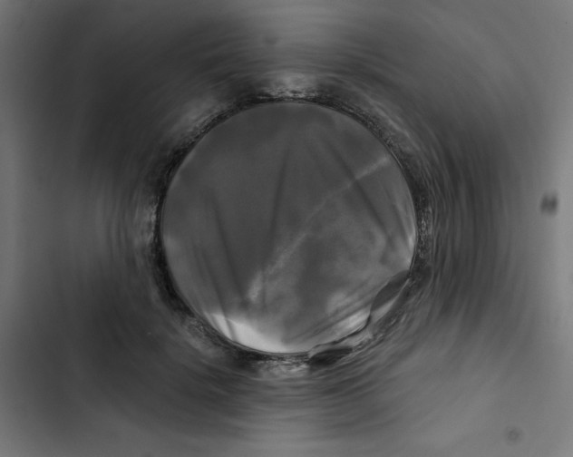 X0000102490652200809051323