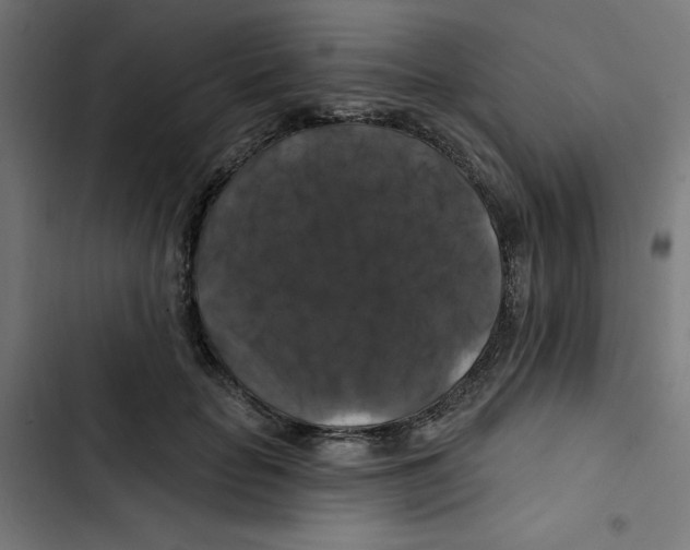 X0000102490653200809051323