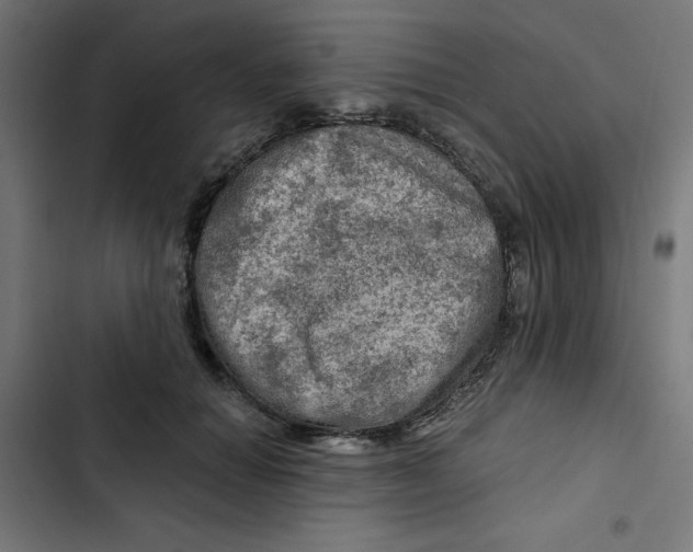 X0000102490654200809051323