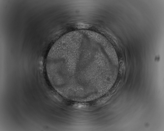 X0000102490655200809051323