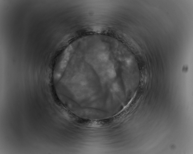 X0000102490656200809051323