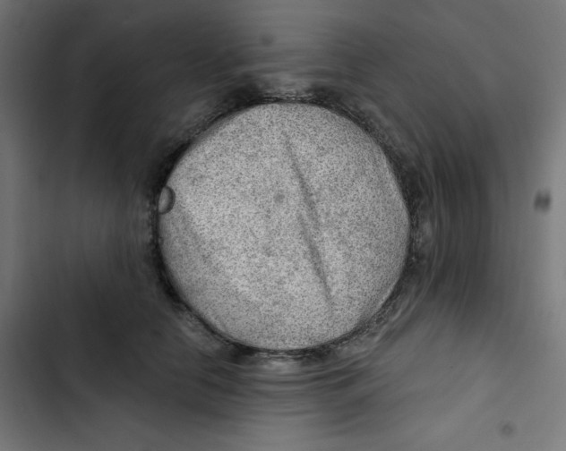 X0000102490658200809051323