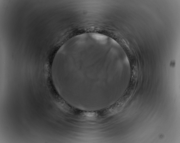 X0000102490659200809051323