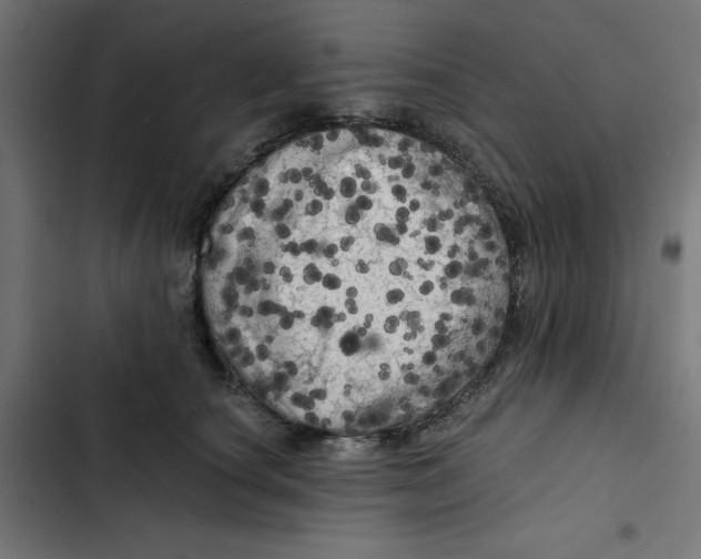 X0000102490660200809051323