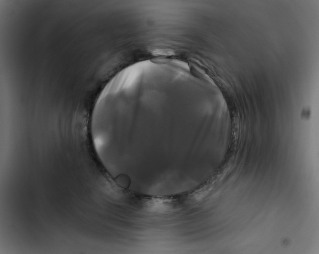 X0000102490664200809051323