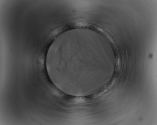 X0000102490668200809051323