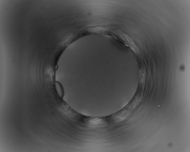 X0000102490669200809051323