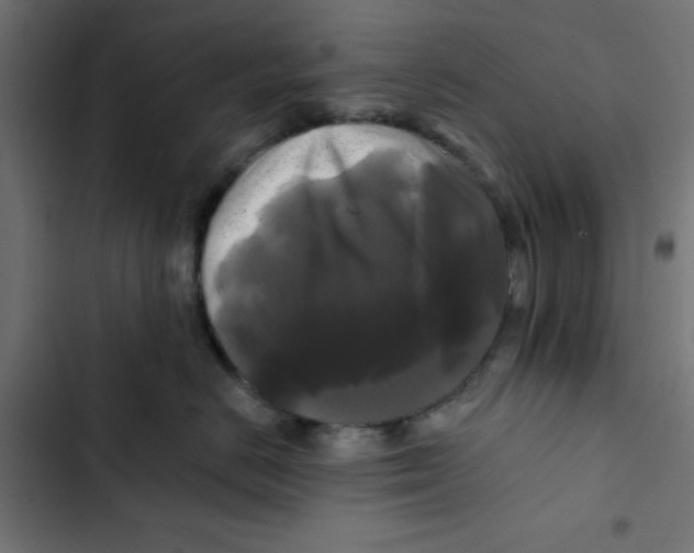 X0000102490670200809051323