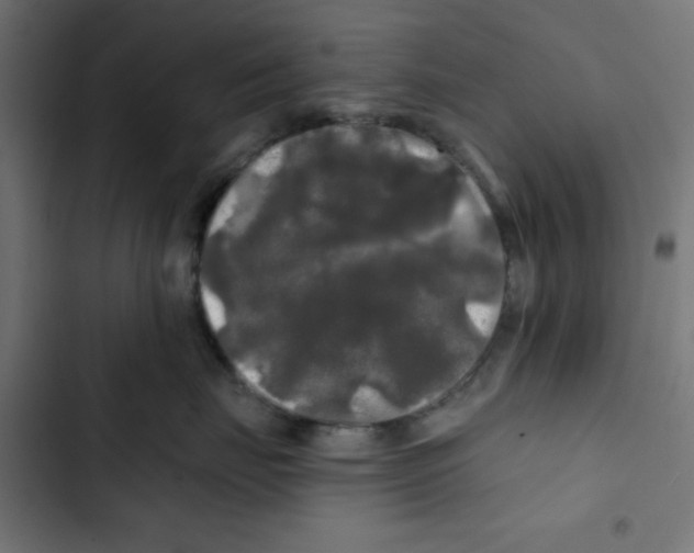 X0000102490671200809051323