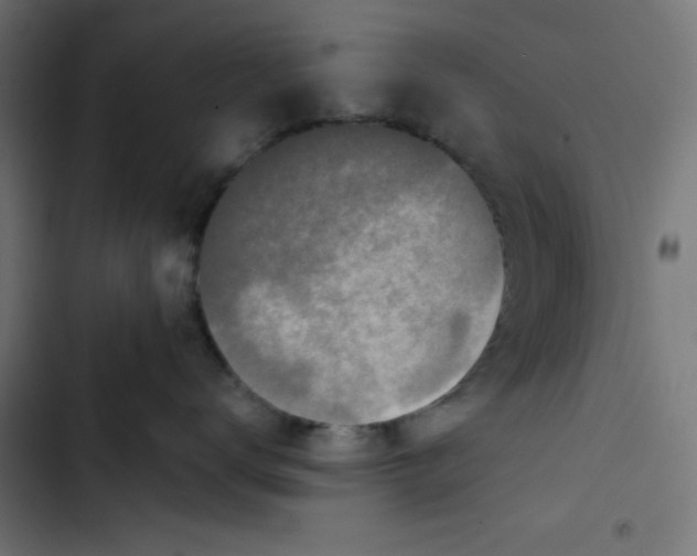 X0000102490672200809051323