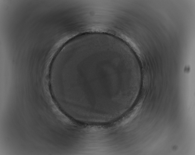 X0000102490673200809051323