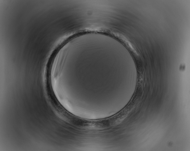 X0000102490678200809051323